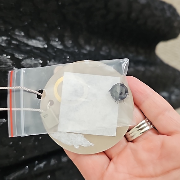 NWT APRICOT blouse - Picture 4 of 4